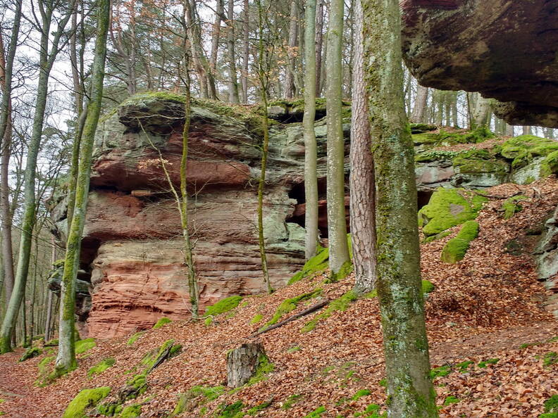 IMG 20190118 103527935 HDR